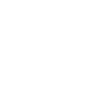 shield icon